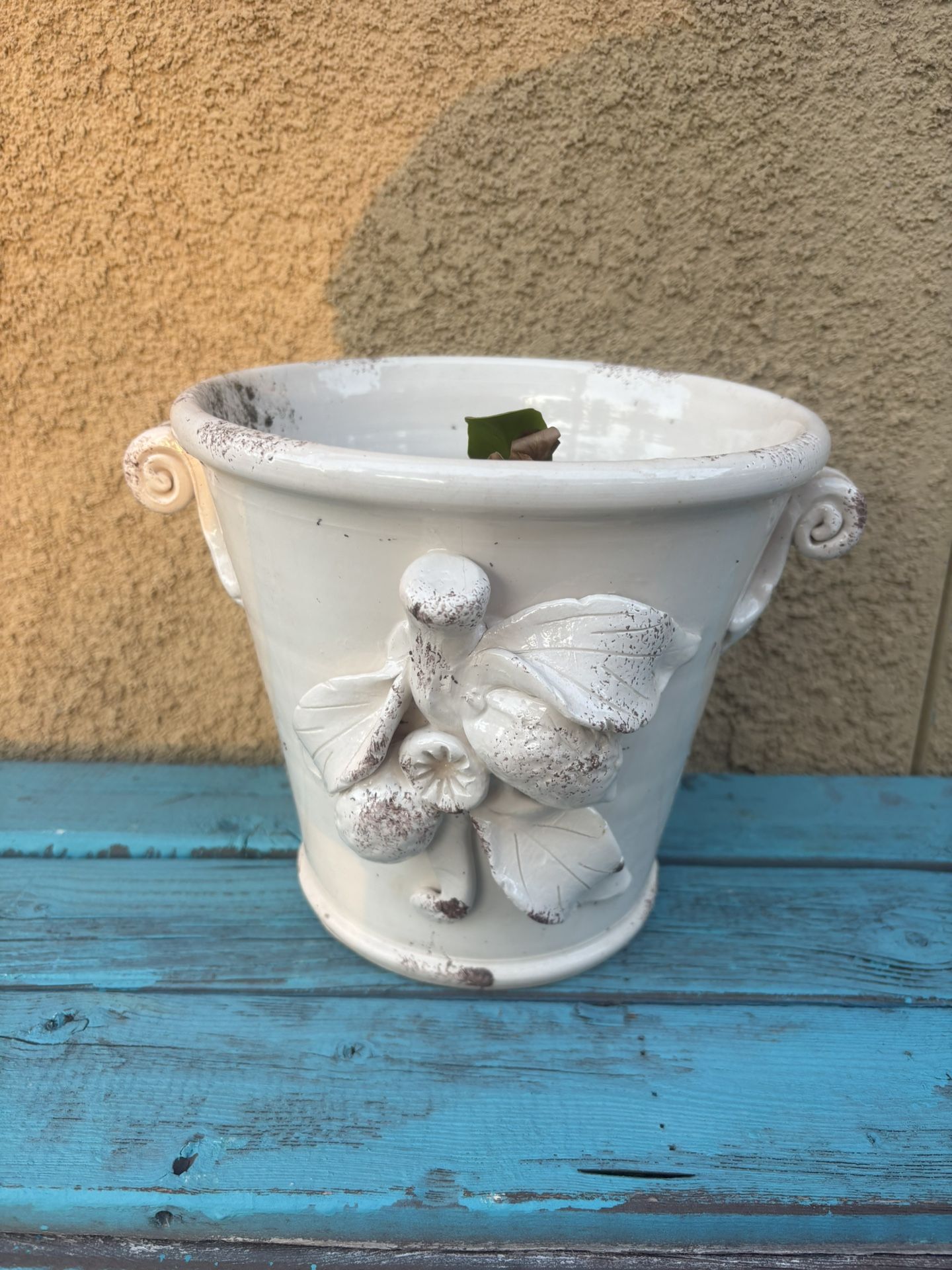 Plant Pot With Fern 