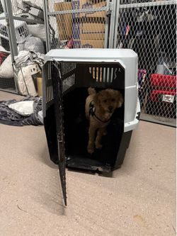 Pet mate XL Dog Crate