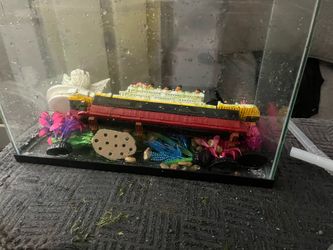 5.5 gallon tank