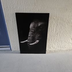 Elephant Canvas