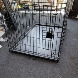 Large Dog Transport Container Or Crate