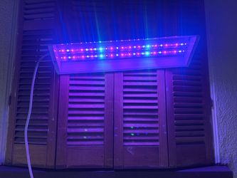 LED light bar