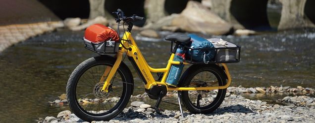 Dosun cargo E-bike