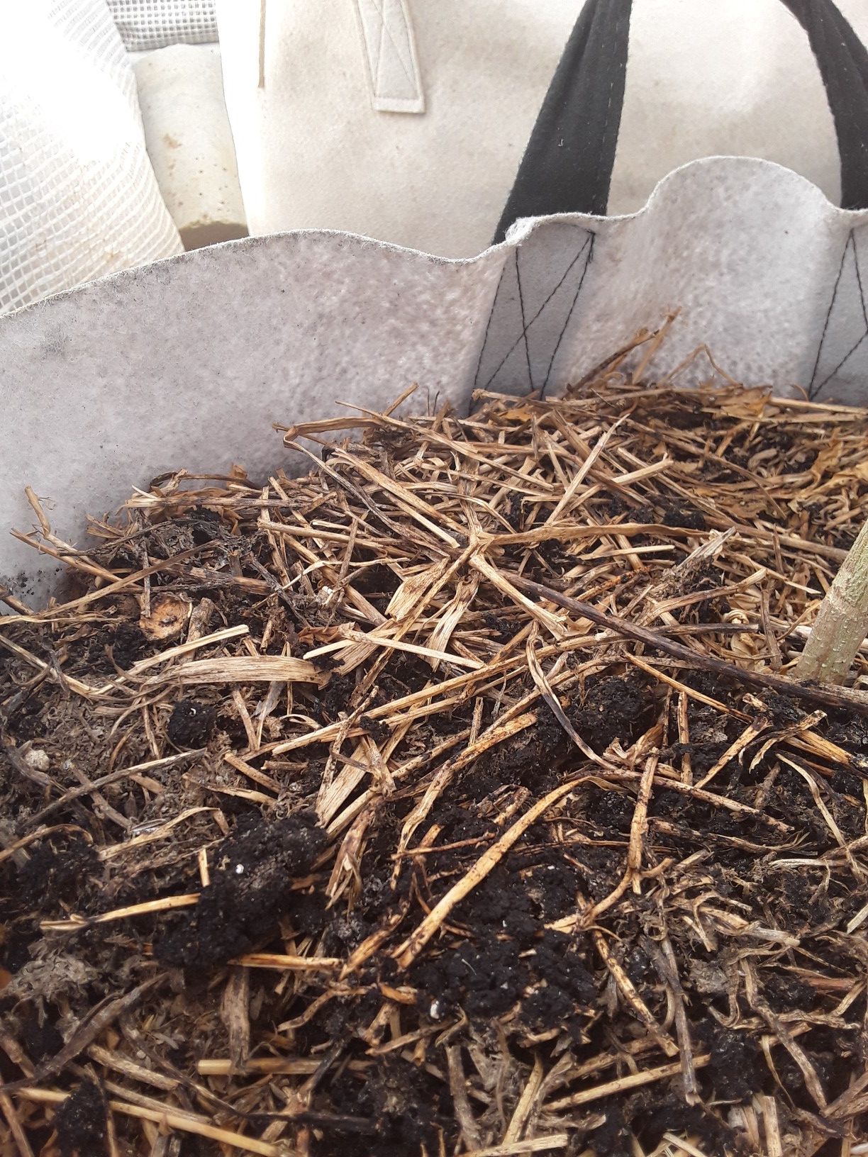 500 + gallons Organic LIVING SOIL"built"