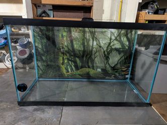 29 gallon fish tank