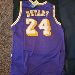 Adidas Swingman Throwback Jersey