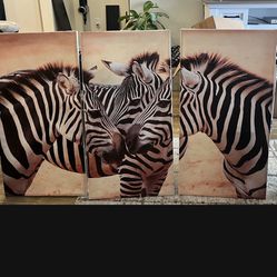 3 Piece Canvas Zebra Wall Art * New