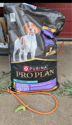 Dog Food