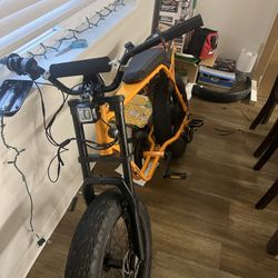 Electric Bike