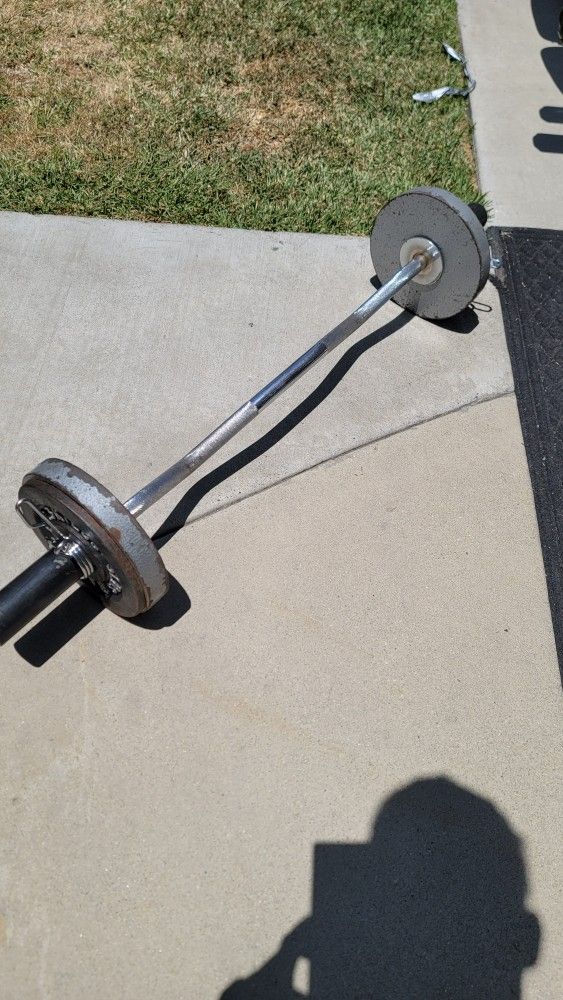 Olympic Curl Bar