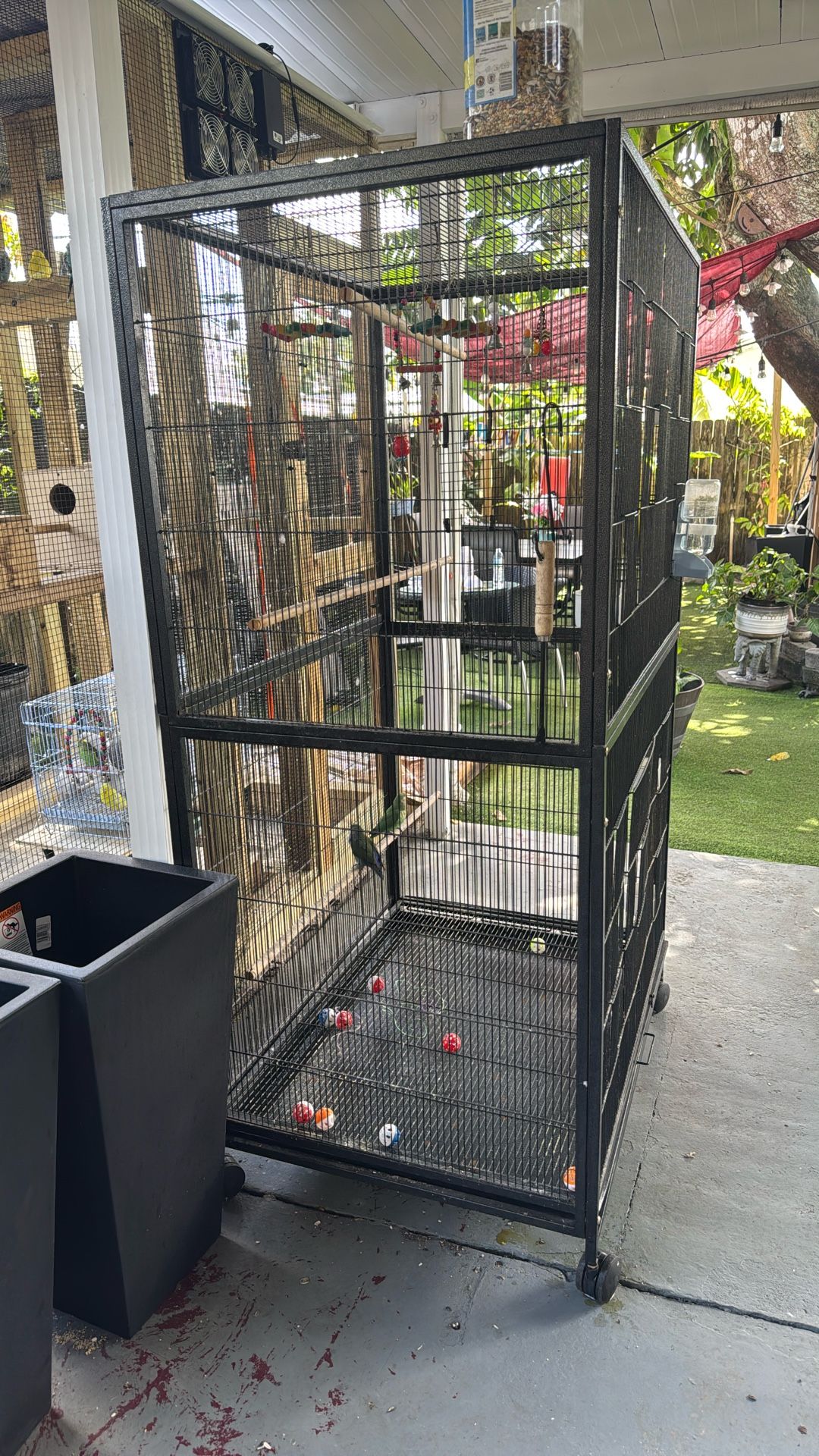 Big Bird Cage Great Conditions