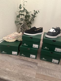 Men’s Lacoste Shoes