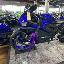 Yamaha R3 2023