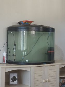 Jebo 50 gal half moon tank