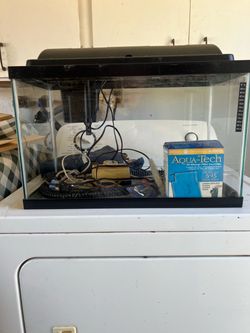 10 Gal fish tank