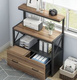 File Cabinet & Computer & Printer Cabinets