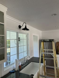 Black Light Fixture