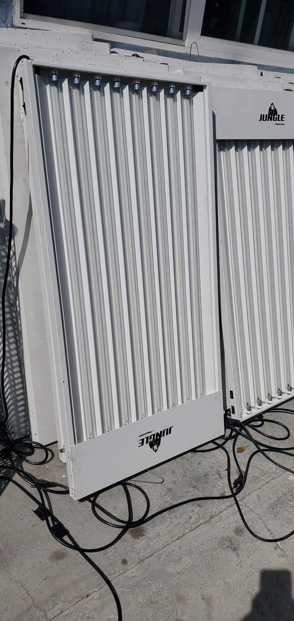 Jungle PlantMax White LED