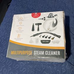 Multipurpose Steam Cleaner