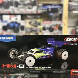Losi Mini-B 1/16 2WD Buggy (BRUSHED)