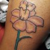 Jasmine