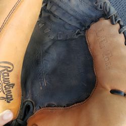 Gold GLOVE CO. ESBL19 BASEBALL GLOVE CATCHER