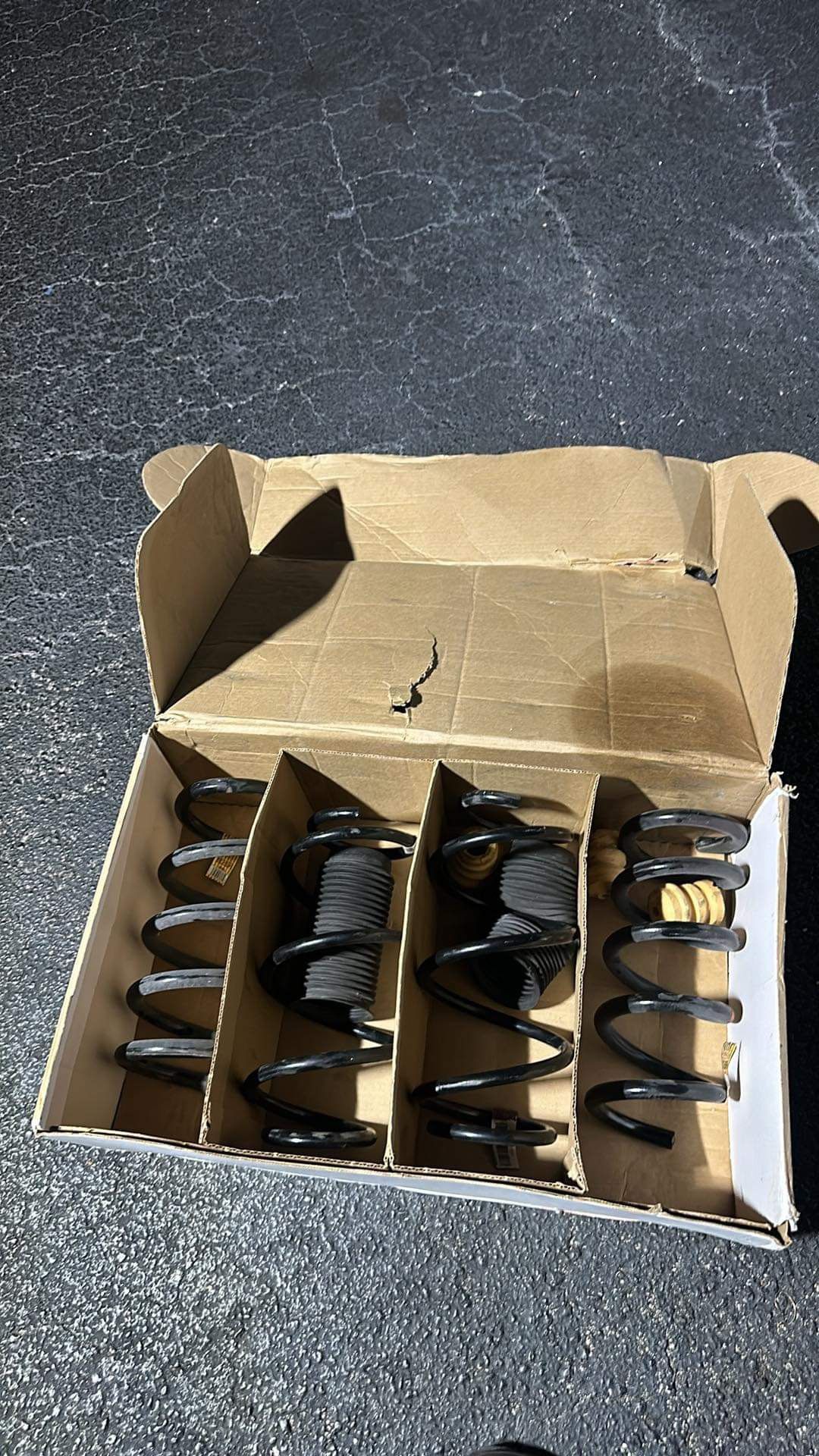 Mustang GT Oem Springs 