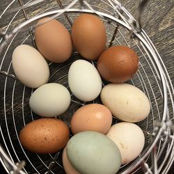 Farm fresh eggs! 🥚 