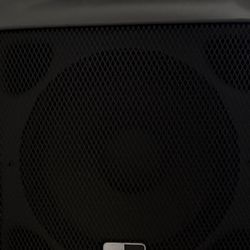 Peavey PR 12 Speaker