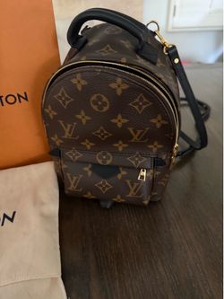 Louis Vuitton Palm Springs Mini
