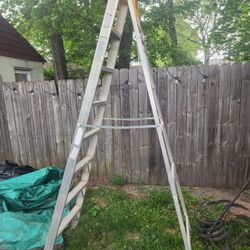 Ladder