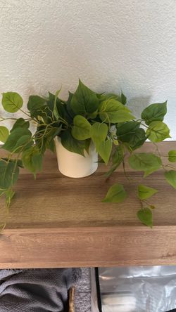 Base with plant