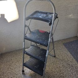 Werner Step Ladder 