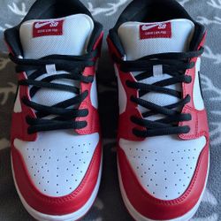 Nike SB Dunk Low Pro Chicago J-Pack Air Jordan 