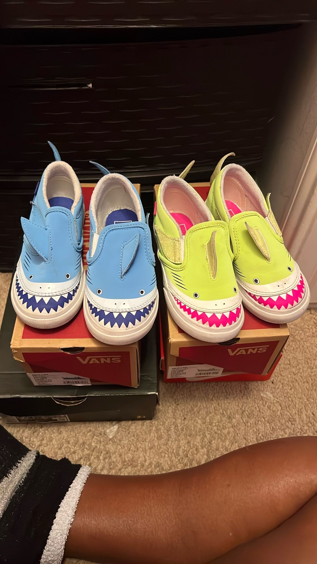 Shark vans