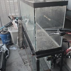 55 Gallon Tank
