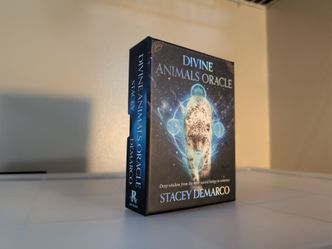 Divine Animal's Oracle by Stacey Demarco