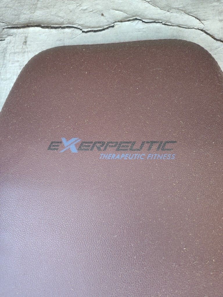 Exerpelitic Therapeutic Fitness Inversion Machine