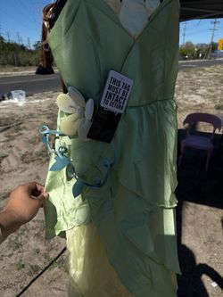 Disney Princess Tiana Costume Dress