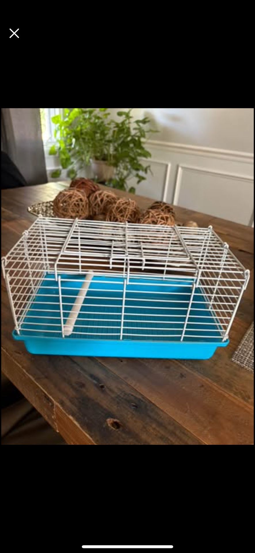Travel bird cage or small animal Carrier 