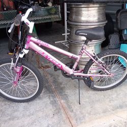 Bicycle $80