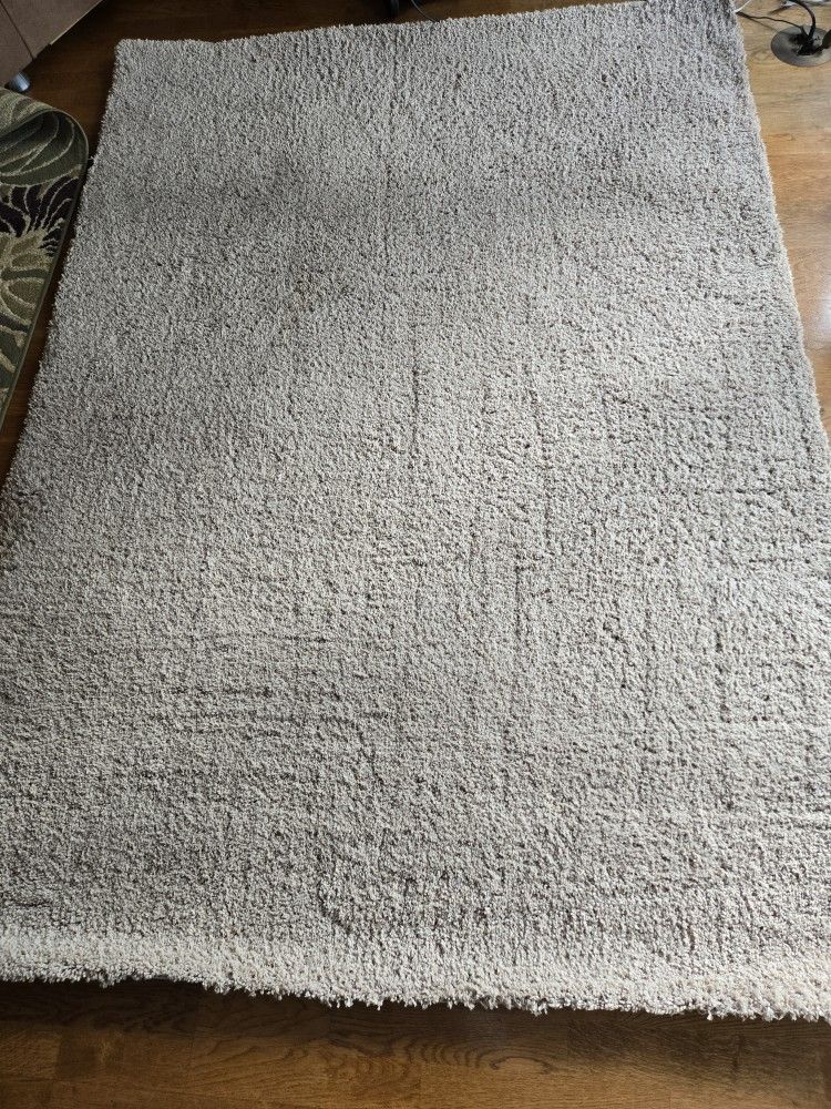 5ft x 7ft Beige Shag Rug