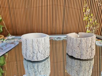 🌳 Mini Tree Stump Cement Planter — $3