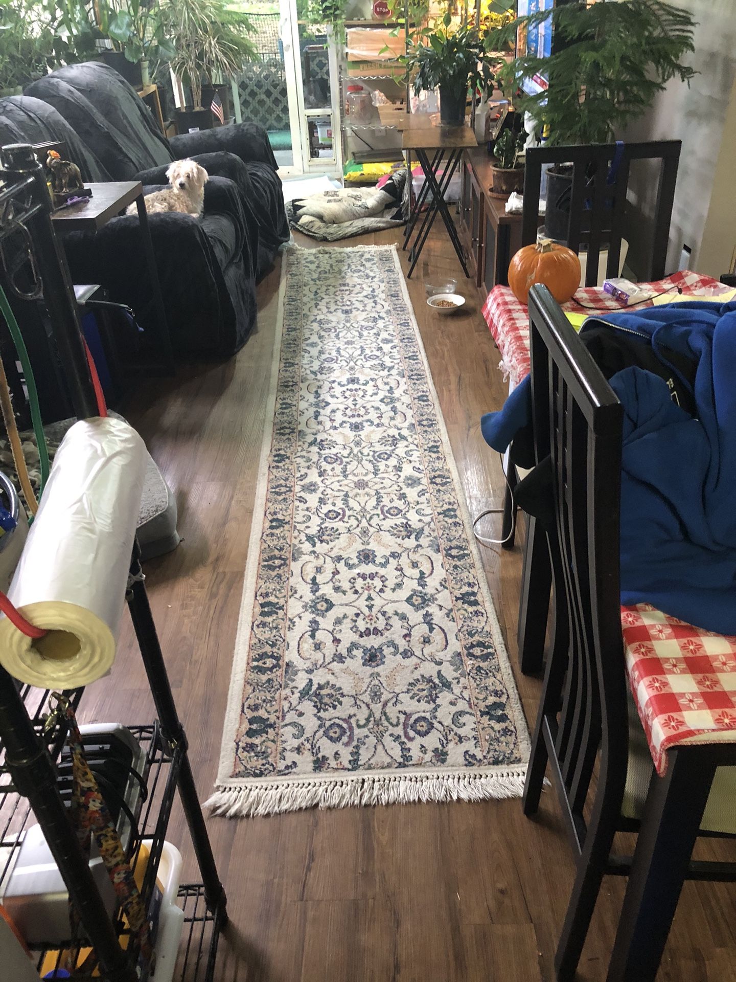 Long Area Carpet, 12ft x 26 Inches Wide