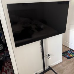 TCL 55 Inch with Stand 