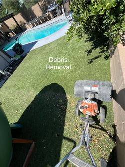 Turf refresh / Turf Cleaning / Turf Maintenance
