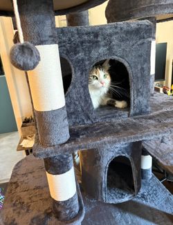 Cat tower