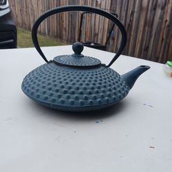 Japanese Xilin Cast Iron Teapot