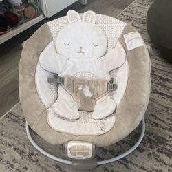 Baby Bouncer