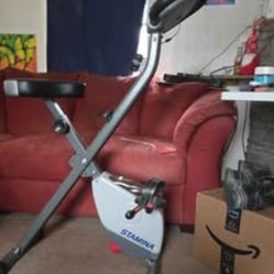 Stamina cardio exercise bike